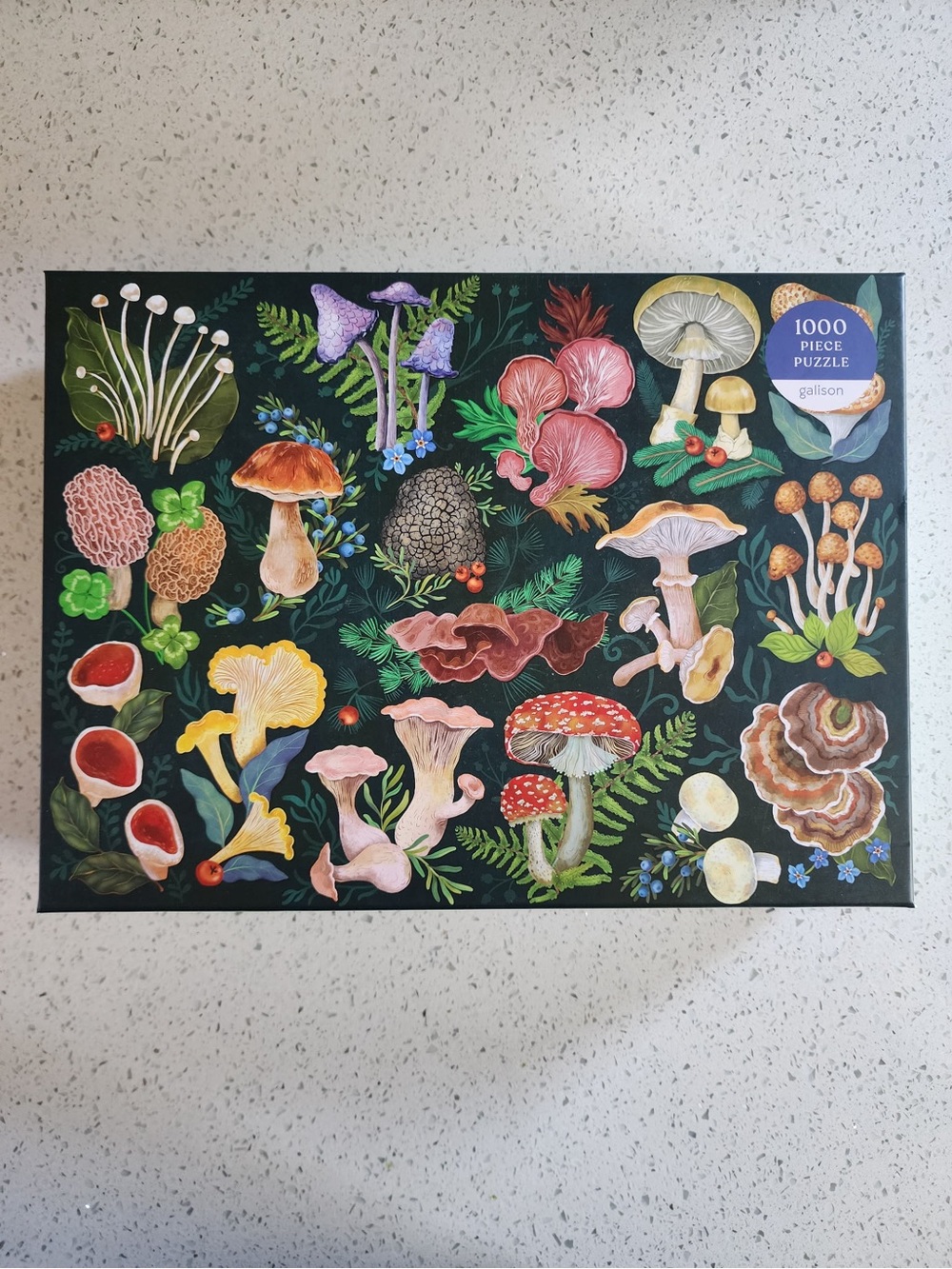 🧩 Galison World of Mushrooms 1000-Piece Puzzle